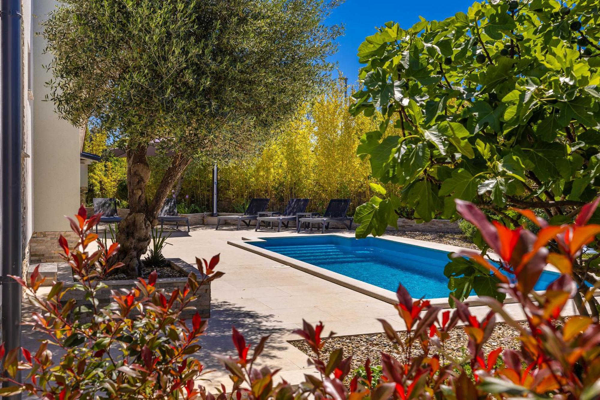 Holiday House Kai With Private Pool Пинезичи Экстерьер фото